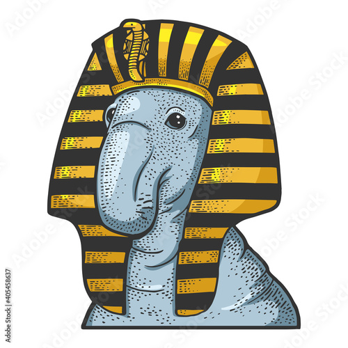 Elephant seal in headdress of egyptian pharaoh sketch color engraving vector illustration. T-shirt apparel print design. Scratch board imitation. Black and white hand drawn image.
