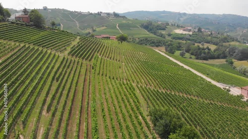 Aerial flight over landscape beautiful green hills of italian vineyards. Region wine area langhe, monferrato, roero and prosecco fields.