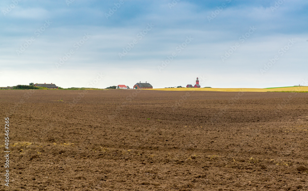 Fototapeta premium Landscape At Lighthouse Bovbjerg Jutland Denmark