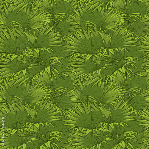 Tropical palm leaves. Seamless vector pattern. © Vasili
