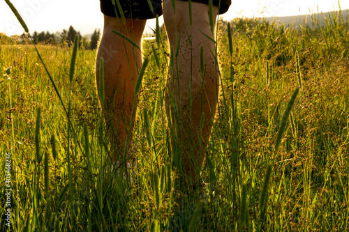 short pants in high grass - tick danger