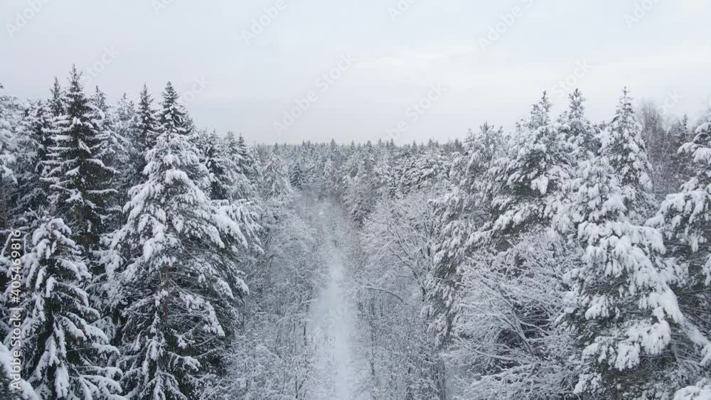 snow covered forest in winter with a narrow path during the day taken by drone from the sky snow covered forest in winter with a narrow path during the day taken by drone from the sky