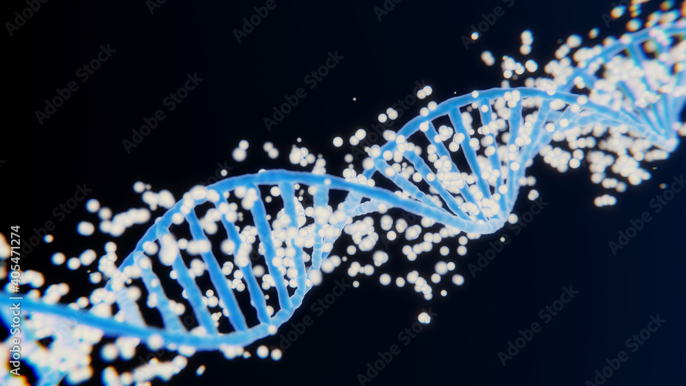 Fototapeta premium Abstract technological representation. Shakes DNA data transmission glowing rotating helix Science and medicine 3D animation on dark background. Shook molecule structure Science and medicine concepts
