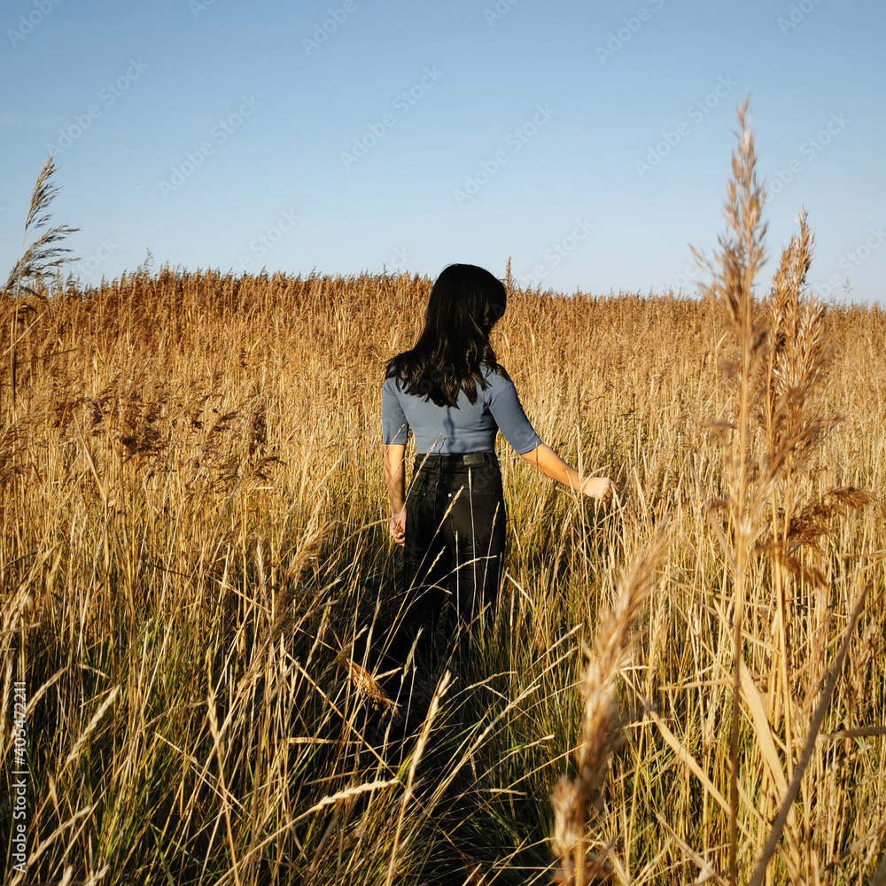 Farmer girl stroves her hands through reeds , that look like a wheat field, wearing casual style in warm summer evening sun. Feeling the freedom of rural marshland life.