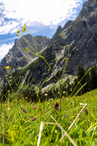 landscape with mountain