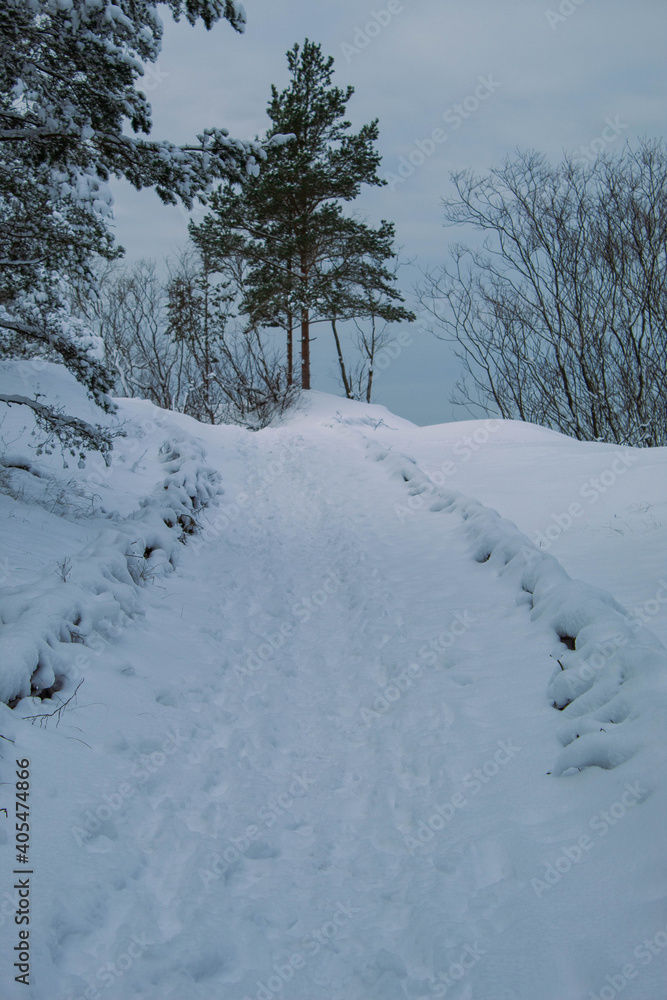 snow covered road snow covered road