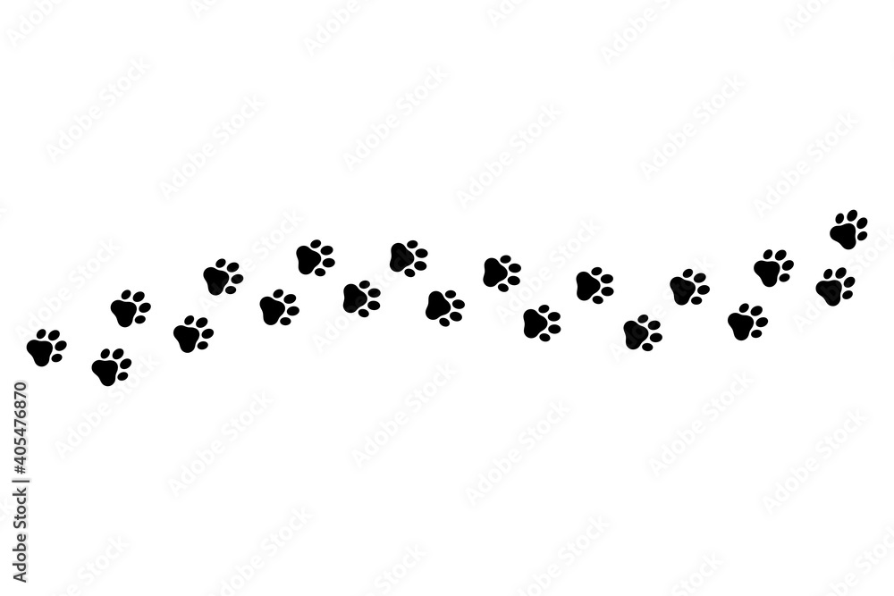 Paw vector foot trail print on white background.vector cat or Dog, path pattern animal tracks, isolated on white background Paw vector foot trail print on white background.vector cat or Dog, path pattern animal tracks, isolated on white background