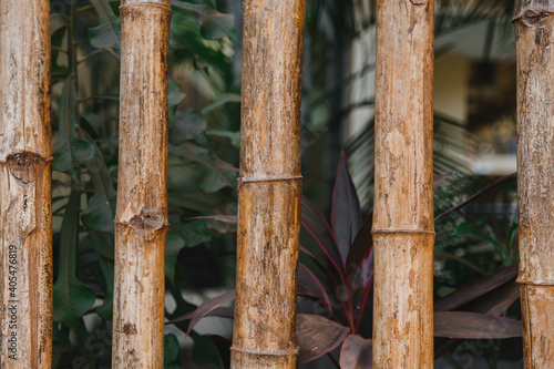 fragment of a fence made of bamboo stalks
