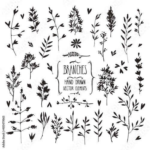 Tree branches, plants silhouettes made with ink. Hand drawn clipart illustration collection of floral design elements. Wood twigs, sticks, flowers, leaves. Isolated vector set on white background.