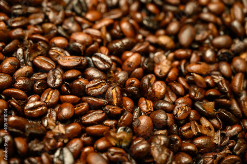 Wallpaper Mural 自家焙煎のコーヒー豆のイメージ Torontodigital.ca