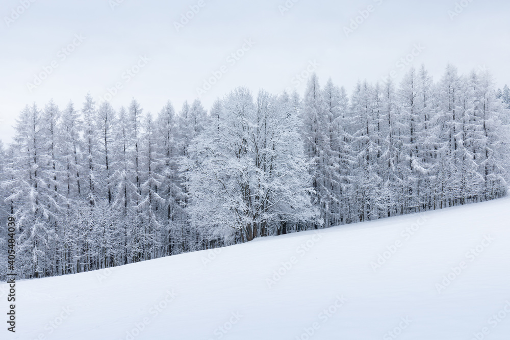 Lonely Winter Tree. Sweet Solitude. Cold and Cloudy day with much snow in the Washington, USA.
Blizzard and fog in east coast.
Winter snow blizzard in tree forest as nature danger weather. Snowstorm Lonely Winter Tree. Sweet Solitude. Cold and Cloudy day with much snow in the Washington, USA.
Blizzard and fog in east coast.
Winter snow blizzard in tree forest as nature danger weather. Snowstorm