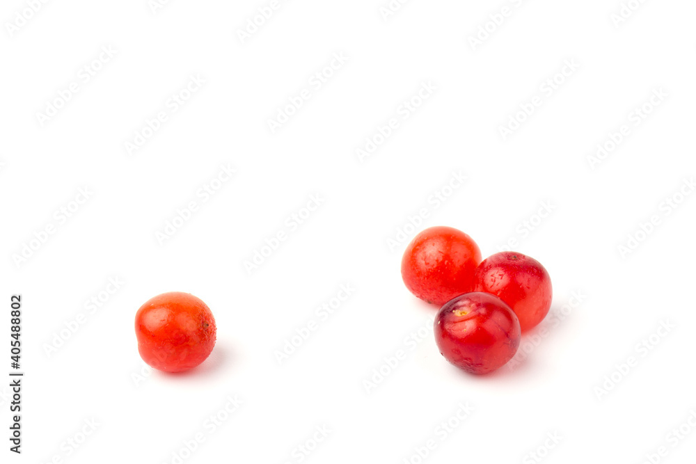 Nanking or felted cherry fruits, isolated on white background Nanking or felted cherry fruits, isolated on white background