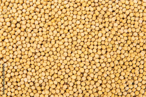 close up of dried soybeans background