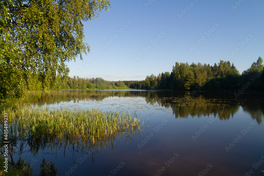 Beautiful landscape of a small quiet river in summer in the European part of Russia.