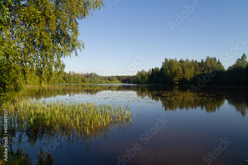 Beautiful landscape of a small quiet river in summer in the European part of Russia.