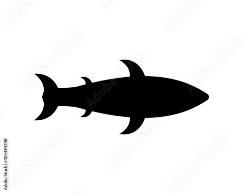 Great white shark silhouette. Vector illustration isolated on white background. Bottom view.