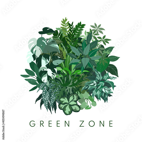 Round concept composition with green home plants