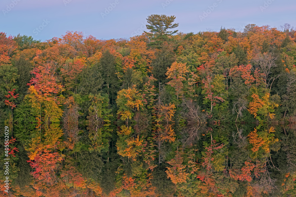 Autumn landscape at dawn of Pete's Lake with mirrored reflections in calm water, Hiawatha National Forest, Michigan's Upper Peninsula, USA Autumn landscape at dawn of Pete's Lake with mirrored reflections in calm water, Hiawatha National Forest, Michigan's Upper Peninsula, USA