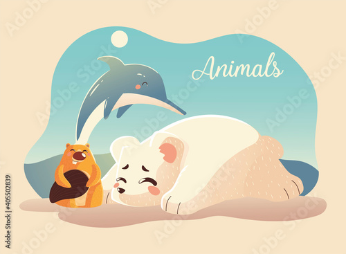 Beluga Cat Images – Browse 21 Stock Photos, Vectors, and Video