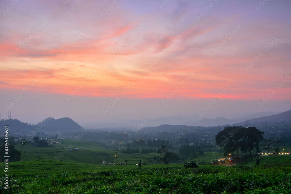 Beautiful Sunrise in the tea plantation.  Red sky over the field. 
