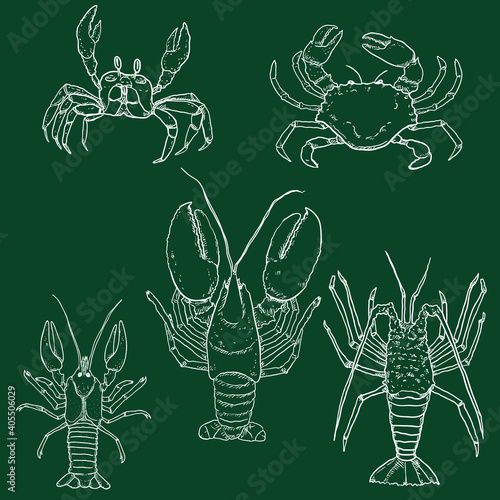 Vector Set of Chalk Sketch Sea Animals. Omar, Lobster and Crab.