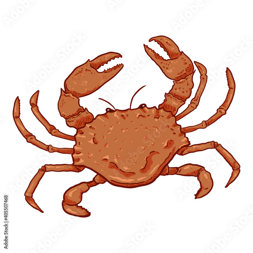 Crab Vector Cartoon Illustration