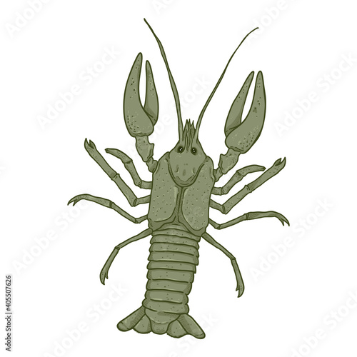 Crawfish Vector Cartoon Illustration