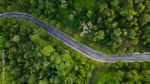 Aerial view of winding road in the forest