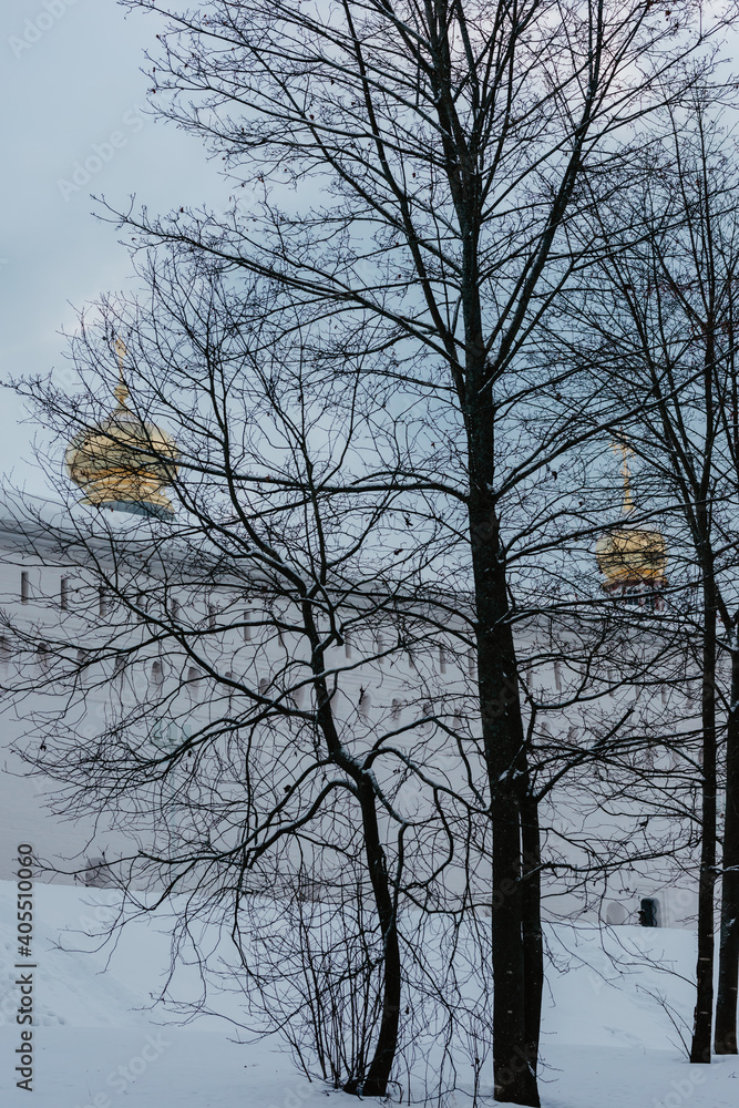 nature poster. winter forest and wall of church with gold domes nature poster. winter forest and wall of church with gold domes