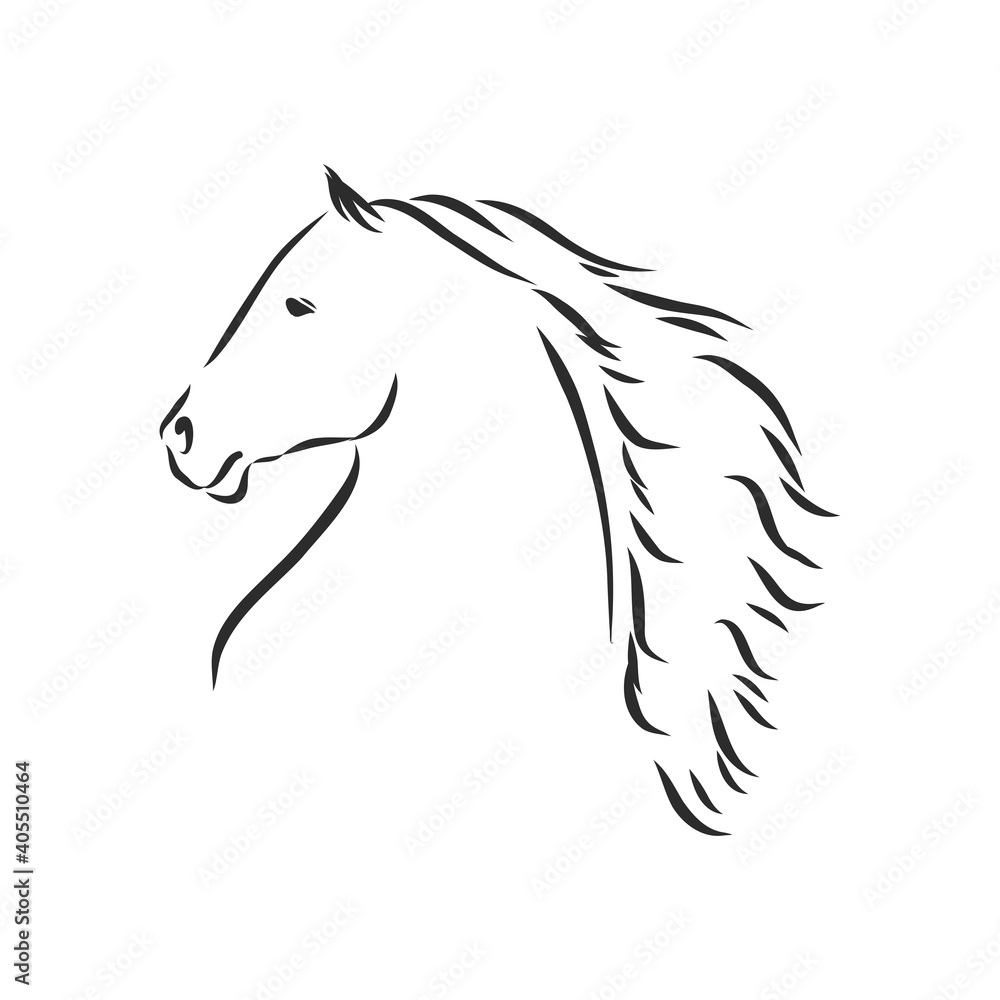 Vector silhouette of a horse. beautiful horse vector sketch illustration Vector silhouette of a horse. beautiful horse vector sketch illustration