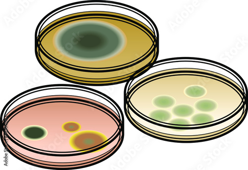 Three petri dishes with microbes growing on them.