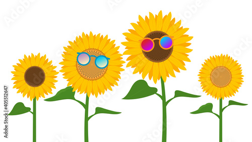 Sunflowers wearing sunglasses isolated on white background. illustration vector