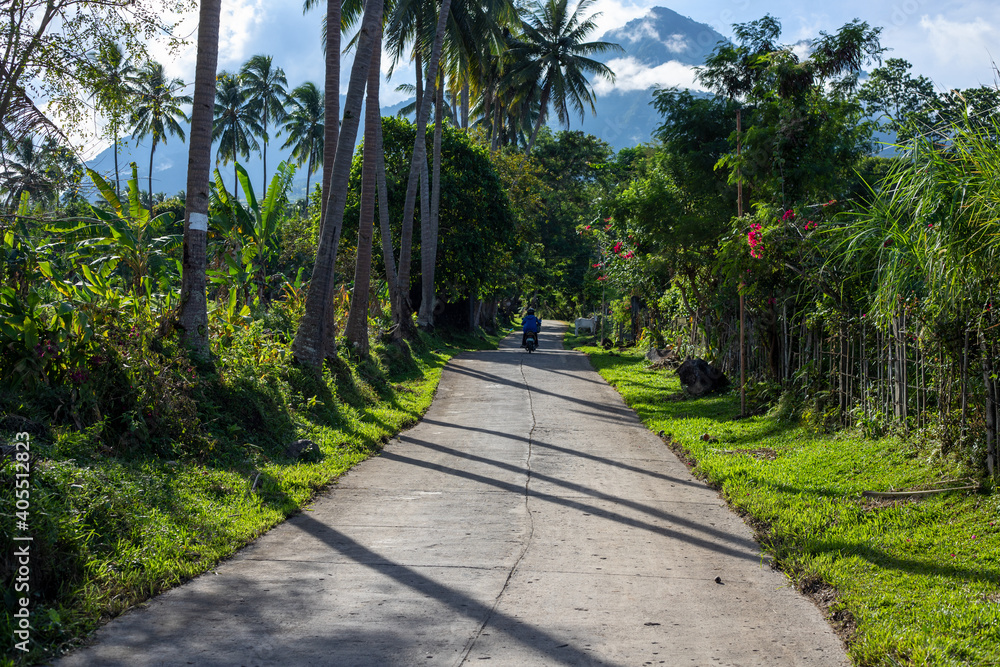 Tropical road landscape with distant mountain. Motorbike trip in South Asia. Volcanic island of the Philippines optimistic pandscape. Summer vacation travel banner template. Green palm trees road Tropical road landscape with distant mountain. Motorbike trip in South Asia. Volcanic island of the Philippines optimistic pandscape. Summer vacation travel banner template. Green palm trees road