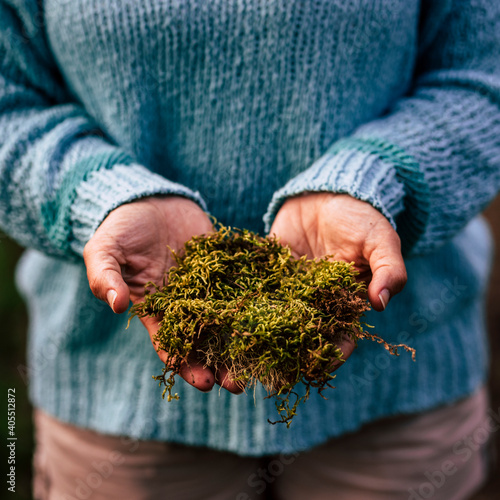 Photos Help and respect nature concept with hands holding green live musk - close up of