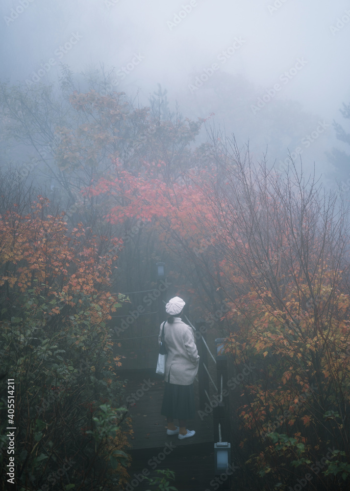 Woman wearing hat and winter coat standing in autumn maple forest and fog at national park Woman wearing hat and winter coat standing in autumn maple forest and fog at national park