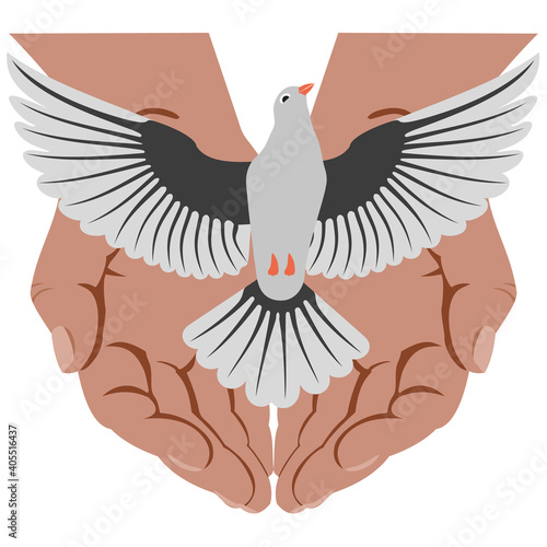 Gray bird - dove with its wings spread, taking off from open palms of human. Concepts: Bird of peace being released. Dove, traditionally going from hands during wedding ceremony, as symbol of loyalty.