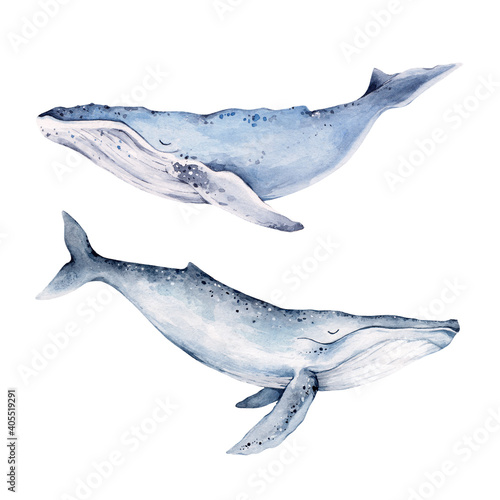 Whales watercolor illustrations set isolated on white background. Hand drawn art for fabric, tee-shirt, postcard, greeting card, book, poster, sticker, print.