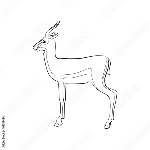 Thomson's gazelle. Outlined silhouette illustration of a Thomson's gazelle isolated on a white background. Vector 10 EPS.