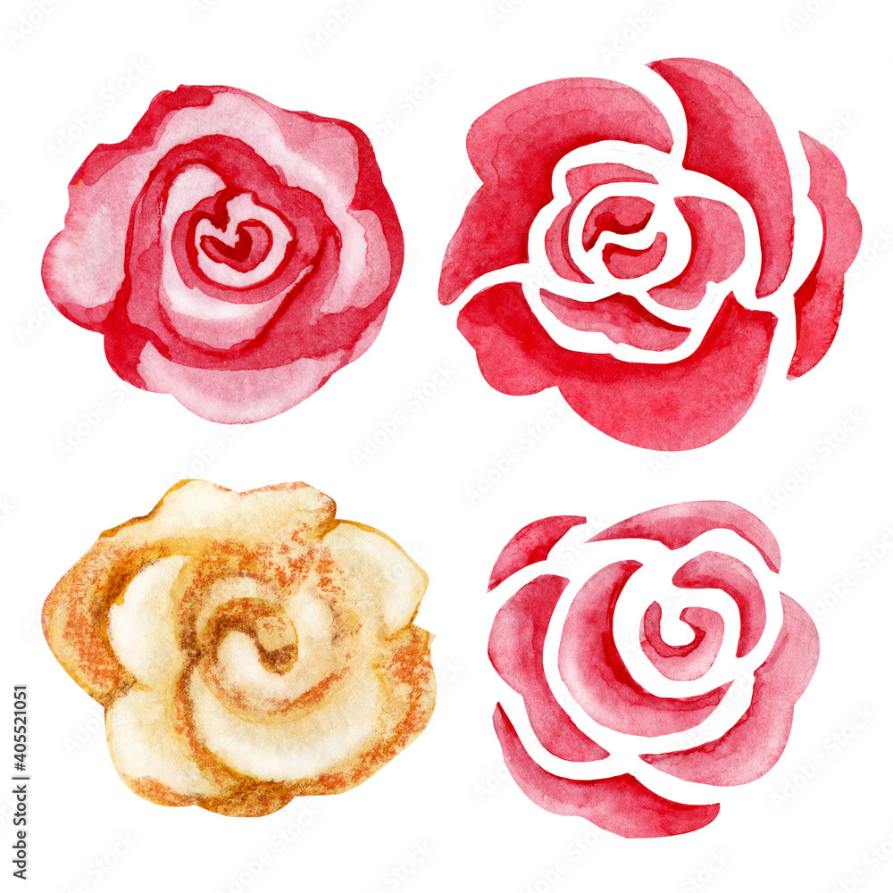 Set of roses flower, pink bud. Hand watercolor illustration isolated on ...