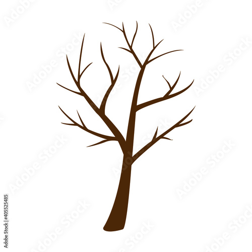 image of a tree without leaves  vector illustration