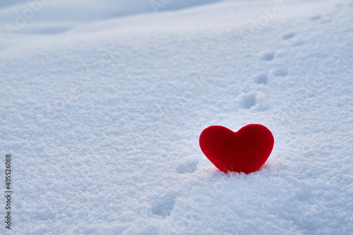 A red hot heart lies on the cold snow.