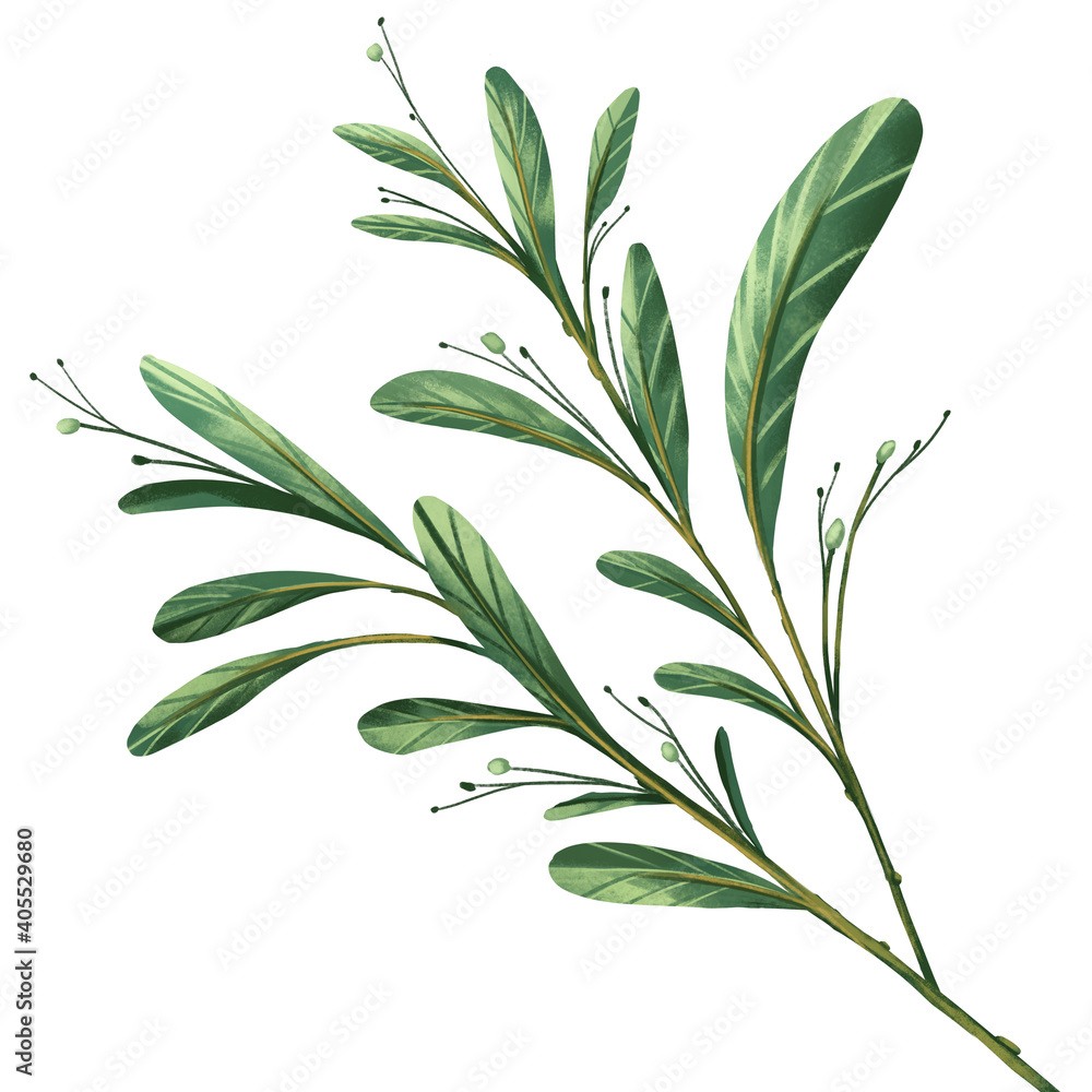 Fototapeta premium Bouquet of leaves. On white background. For decorate your design with template. Create by digital painting and illustration.