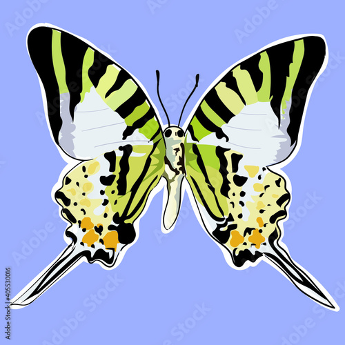 mariposa