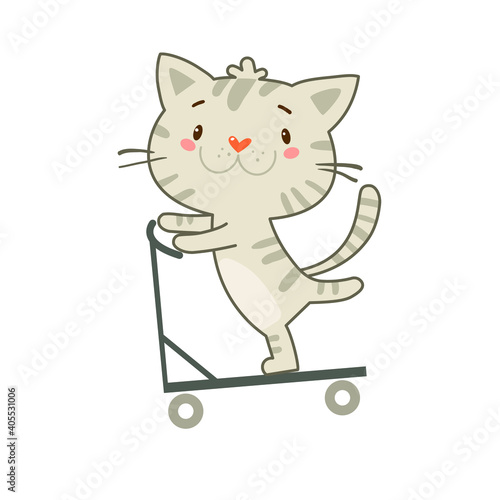 Mischievous kitten rides a scooter