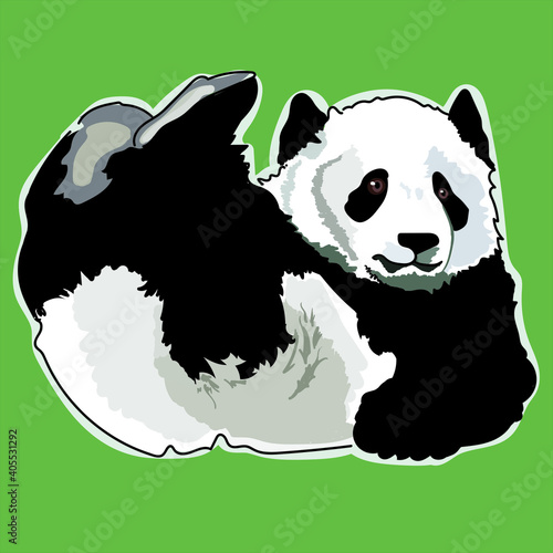 panda