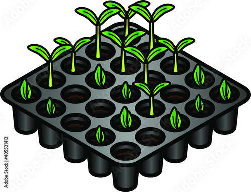 Seedlings and new shoots in a germination tray.