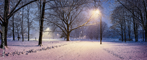 Wallpaper Mural Panoramic view of winter landscape in park with snowy trees and shining lights during snowstorm Torontodigital.ca