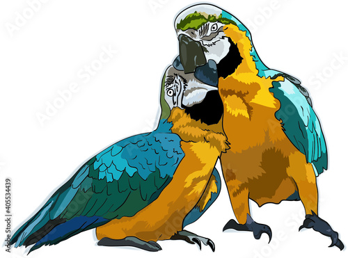 Loro