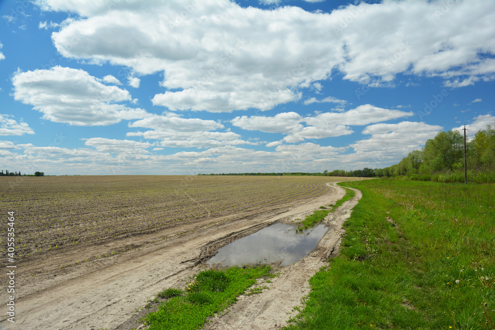 A road in rural area. A rural sand road with a puddle along a newly sown agricultural field and a green meadow in spring.