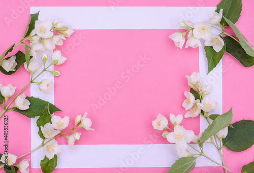 Greeting card background  jasmine flowers on a pink background with copy space